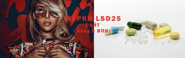 PSILOCYBIN Алексин