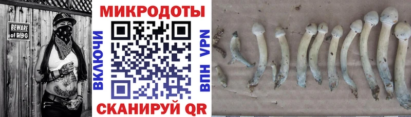 Псилоцибиновые грибы ЛСД цена Чапаевск